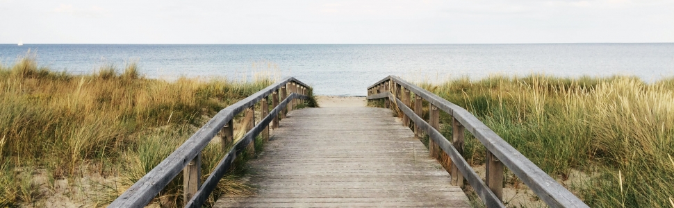 path leading to beach